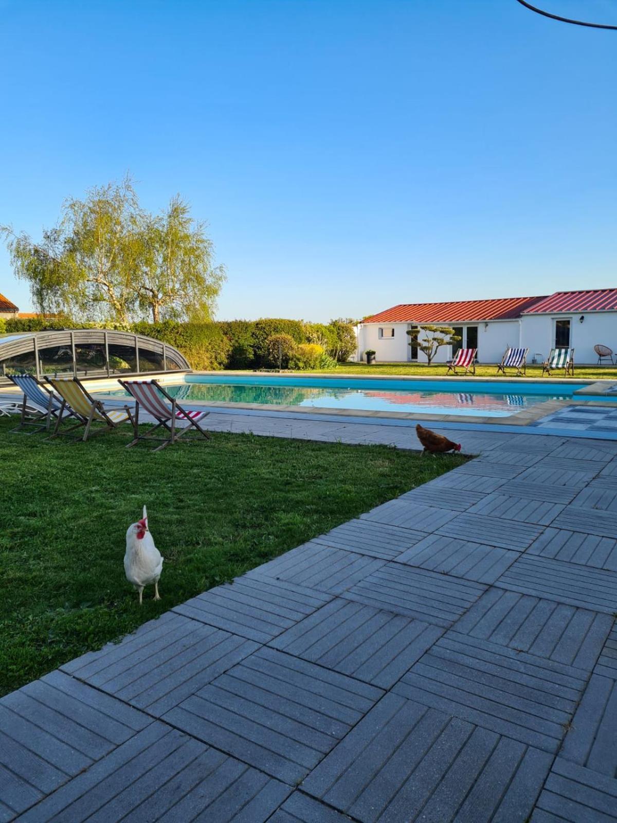 Ty Grain De Sel : Logement Privatif Avec Piscine, Jardin Et Patio Chauve Bagian luar foto